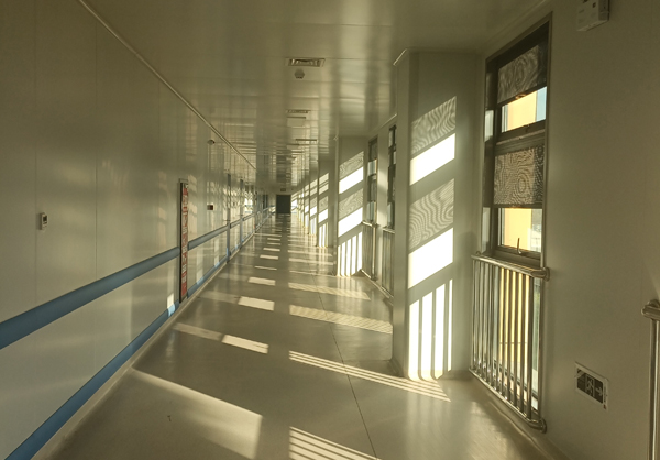 黑丝美女被扒开屁股操视频在线观看